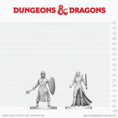 D&D: Nolzur's Marvelous Miniatures - Black Gauntlet & Zhentilar Paladin of Bane