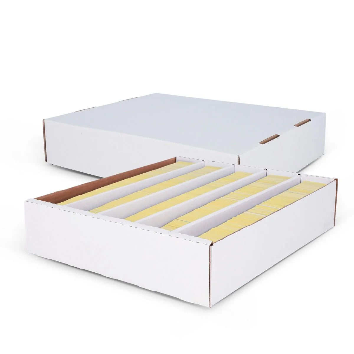 BCW: 5,000 Count Storage Box