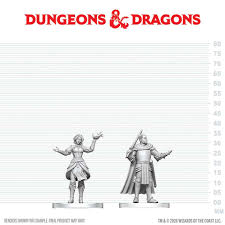 D&D: Nolzur's Marvelous Miniatures - Knight & Mage Apprentice