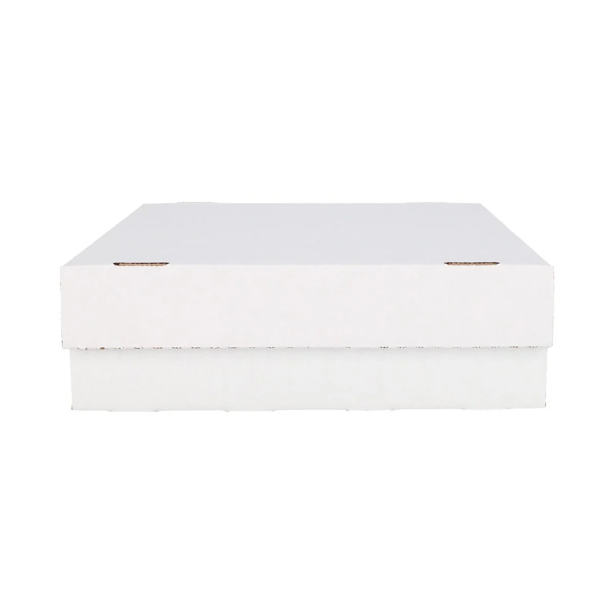 BCW: Monster Storage Box 3,200 Count